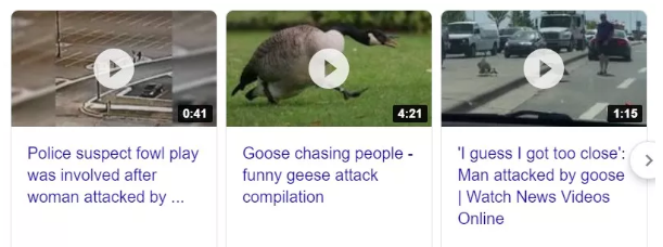 6nngt
