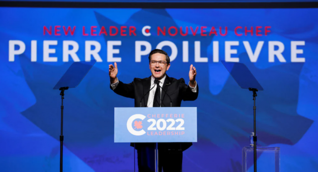 pig46 pig46