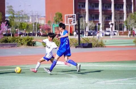 8tjse