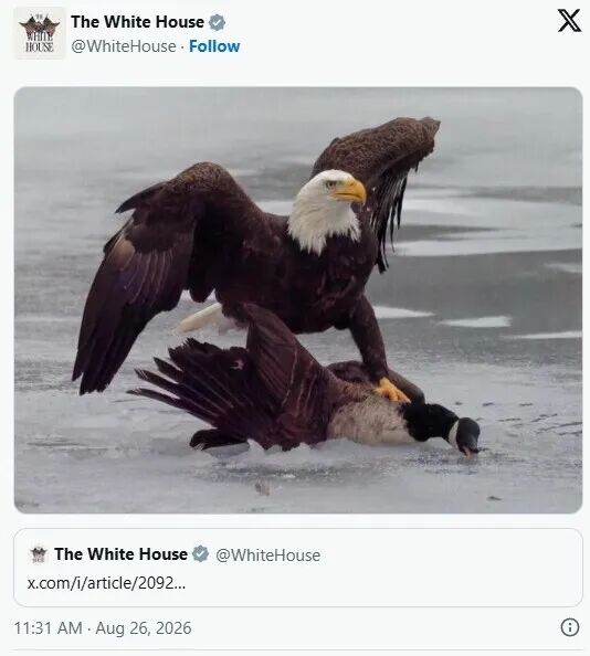 wldtc
