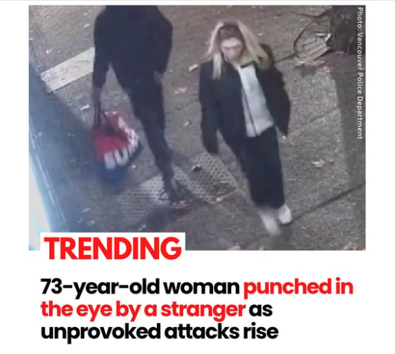 v3z3l